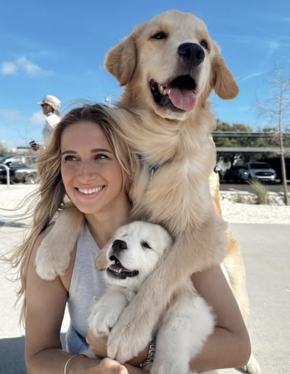 Original dog photo